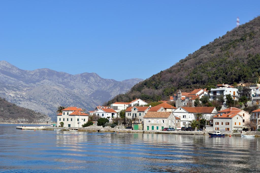 Vucinovic