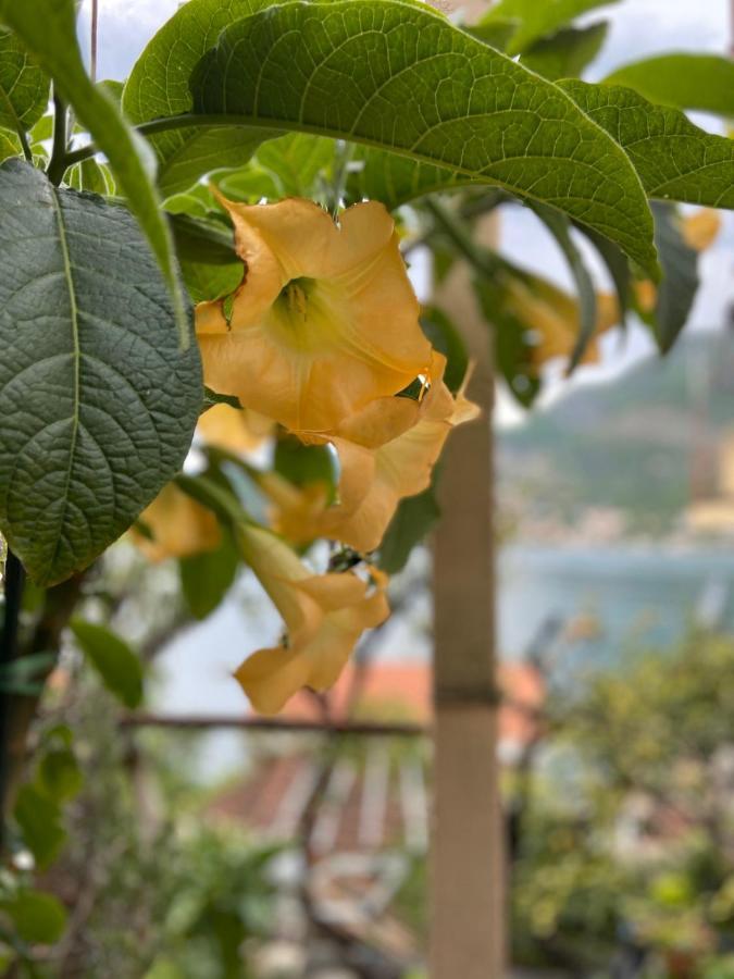 Apartment Vucinovic Tivat